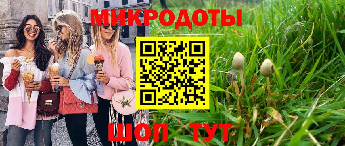 Псилоцибиновые грибы Cubensis  Вход с VPN  Елец 