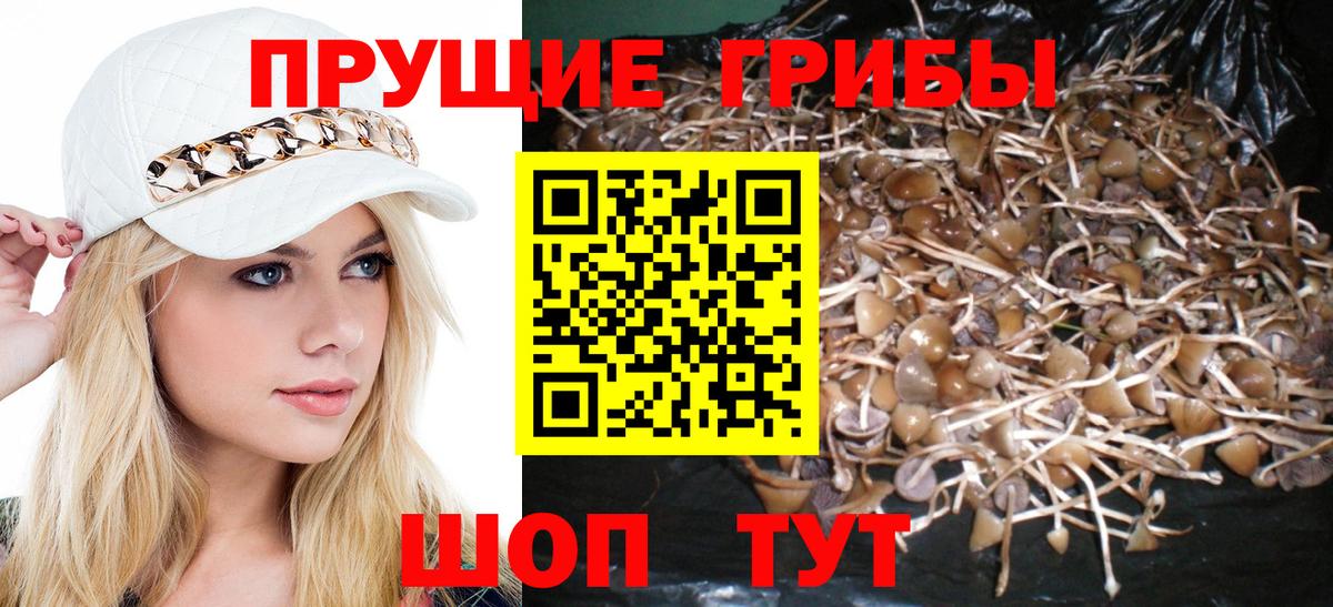 Галлюциногенные грибы ЛСД Елец